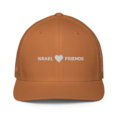 Israel Friends Closed-back trucker hat